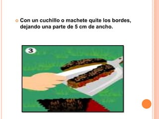  Con un cuchillo o machete quite los bordes,
dejando una parte de 5 cm de ancho.
 