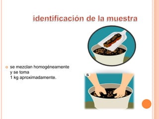  se mezclan homogéneamente
y se toma
1 kg aproximadamente.
 