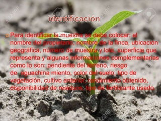 IDENTIFICAR
 Para identificar la muestra se debe colocar: el
nombre del propietario, nombre de la finca, ubicación
geográfica, número de muestra y lote, superficie que
representa y algunas informaciones complementarias
como lo son: pendiente del terreno, riesgo
de aguachina miento, color del suelo, tipo de
vegetación, cultivo anterior, rendimiento obtenido,
disponibilidad de residuos, tipo de fertilizante usado.
 