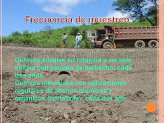  Cultivos anuales en rotación o un solo
cultivo con período de barbecho: cada
tres años.
Cultivos intensivos con aplicaciones
regulares de abonos químicos y
orgánicos (hortalizas): cada dos año
 