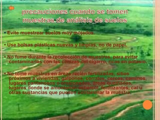 • Evite muestrear suelos muy mojados.
• Use bolsas plásticas nuevas y limpias, no de papel.
• No fume durante la recolección de muestras, para evitar
contaminarlas con las cenizas del cigarro, ricas en potasio.
• No tome muestras en áreas recién fertilizadas, sitios
próximos a viviendas, galpones, corrales, cercas, caminos,
lugares pantanosos o erosionados, áreas quemadas,
lugares donde se amontonan estiércol, fertilizantes, cal u
otras sustancias que pueden contaminar la muestra.
 