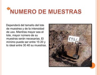 Dependerá del tamaño del lote
de muestreo y de la intensidad
de uso. Mientras mayor sea el
lote, mayor número de su
muestras serán necesarias. El
mínimo puede ser entre 15 20 y
lo ideal entre 30 40 su muestras.
 