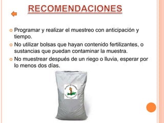  Programar y realizar el muestreo con anticipación y
tiempo.
 No utilizar bolsas que hayan contenido fertilizantes, o
sustancias que puedan contaminar la muestra.
 No muestrear después de un riego o lluvia, esperar por
lo menos dos días.
 