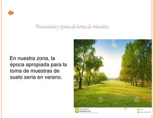 En nuestra zona, la
época apropiada para la
toma de muestras de
suelo sería en verano.
 