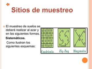  El muestreo de suelos se
deberá realizar al azar y
en las siguientes formas.
Sistemáticos.
Como ilustran los
siguientes esquemas:
 