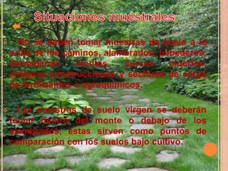  No se deben tomar muestras de suelo a la
orilla de los caminos, alambrados, bebederos,
dormideros, montes, surcos muertos,
antiguas construcciones y sectores de carga
de fertilizantes o agroquímicos.
 Las muestras de suelo virgen se deberán
tomar dentro del monte o debajo de los
alambrados, estas sirven como puntos de
comparación con los suelos bajo cultivo.
 