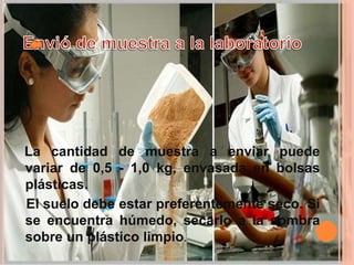 La cantidad de muestra a enviar puede
variar de 0,5 - 1,0 kg, envasada en bolsas
plásticas.
El suelo debe estar preferentemente seco. Si
se encuentra húmedo, secarlo a la sombra
sobre un plástico limpio.
 