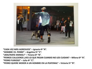 “CADA VEZ MÁS AGRESIVOS” – Ignacio 4º “A”.
“HOMBRE VS. PERRO” – Angelina 5º “C”.
“¡MALTRATO ANIMAL!” – Ticiana 6º “B”.
“PERROS CALLEJEROS ¿VES LO QUE PASAN CUANDO NO LOS CUIDAN? – Milena 6º “A”.
“PERRO FURIOSO” – Julia 4º “C”.
“PERRO QUIERE MODER A UN HOMBRE EN LA PEATONAL” – Victoria 5º “B”.
 