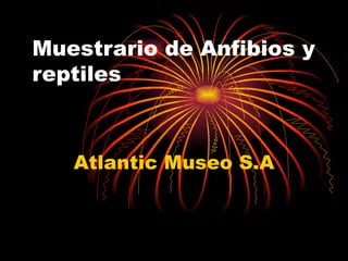 Muestrario de Anfibios y reptiles Atlantic Museo S.A 