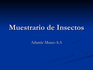 Muestrario de Insectos Atlantic Museo S.A 