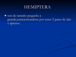 HEMIPTERA   son de tamaño pequeño a grande,caracterizandose por tener 2 pares de alas o ápteros.  