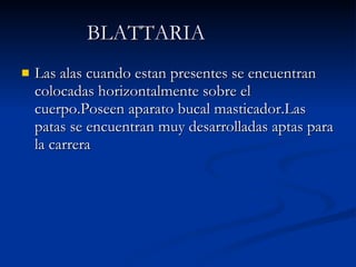 Las alas cuando estan presentes se encuentran colocadas horizontalmente sobre el cuerpo.Poseen aparato bucal masticador.Las patas se encuentran muy desarrolladas aptas para la carrera  BLATTARIA   
