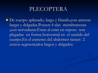 PLECOPTERA   De cuerpo aplanado, largo y blando,con antenas largas y delgadas.Poseen 4 alas  membranosas ,con nervaduras.Estas al estar en reposo  son plegadas  en forma horizontal en  el sentido del cuerpo.En el extremo del abdomen tienen  2 cercos segmentados largos y delgados  
