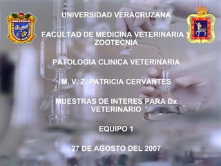 UNIVERSIDAD VERACRUZANA
FACULTAD DE MEDICINA VETERINARIA Y
ZOOTECNIA
PATOLOGIA CLINICA VETERINARIA
M. V. Z. PATRICIA CERVANTES
MUESTRAS DE INTERES PARA Dx
VETERINARIO
EQUIPO 1
27 DE AGOSTO DEL 2007
 