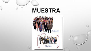 MUESTRA
 