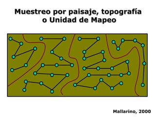 Muestreo por paisaje, topografía
o Unidad de Mapeo
Mallarino, 2000
 