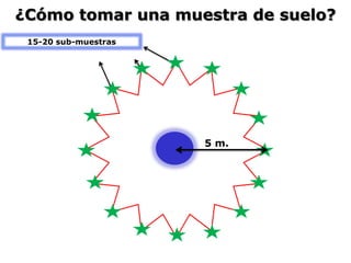 5 m.
15-20 sub-muestras
¿Cómo tomar una muestra de suelo?
 