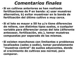 • Si en cultivos anteriores se han realizado
fertilizaciones de P en banda: a) usar muestreo
alternativo, b) evitar muestrear en la banda de
fertilización del último cultivo o muy cerca.
• Si el lote es mayor a 50 ha y/o tiene diferencias
de relieve, con distintos tipos suelos, o cualquier
variable para diferenciar zonas del lote (diferente
antecesor, fertilización, etc.), tomar muestras
compuestas por separado de las mismas.
• Si existen manchones con limitantes o problemas
localizados (sales o sodio), tomar paralelamente
“muestras control” de suelos adyacentes, donde
el crecimiento de cultivos sea normal, para
comparar.
Comentarios finales
 