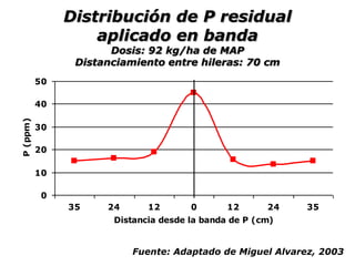 0
10
20
30
40
50
35 24 12 0 12 24 35
Distancia desde la banda de P (cm)
P
(ppm)
Distribución de P residual
aplicado en banda
Dosis: 92 kg/ha de MAP
Distanciamiento entre hileras: 70 cm
Fuente: Adaptado de Miguel Alvarez, 2003
 