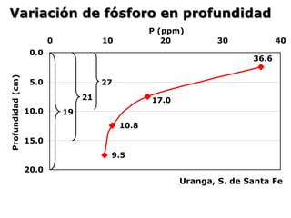 Variación de fósforo en profundidad
Uranga, S. de Santa Fe
10.8
9.5
17.0
36.6
0.0
5.0
10.0
15.0
20.0
0 10 20 30 40
P (ppm)
Profundidad
(cm)
27
21
19
 