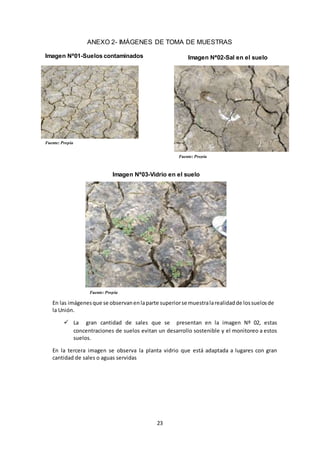 23
ANEXO 2- IMÁGENES DE TOMA DE MUESTRAS
Imagen Nª01-Suelos contaminados Imagen Nª02-Sal en el suelo
Imagen Nª03-Vidrio en el suelo
En las imágenesque se observanenlaparte superiorse muestralarealidadde lossuelosde
la Unión.
 La gran cantidad de sales que se presentan en la imagen Nº 02, estas
concentraciones de suelos evitan un desarrollo sostenible y el monitoreo a estos
suelos.
En la tercera imagen se observa la planta vidrio que está adaptada a lugares con gran
cantidad de sales o aguas servidas
Fuente: Propia
Fuente: Propia
Fuente: Propia
 