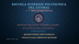 • QUINDE YEPEZ CINDY ROSSANA
• PAGUAY ICAZA CHRISTYAN RICHARD
Integrantes: Quinde / Paguay 1
 