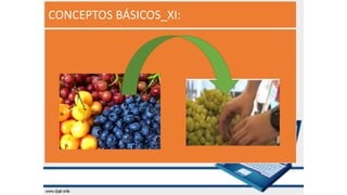 CONCEPTOS BÁSICOS_XI:
 