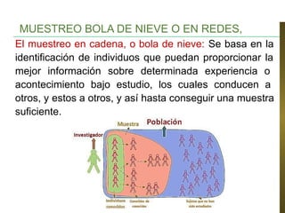 El muestreo en cadena, o bola de nieve: Se basa en la
identificación de individuos que puedan proporcionar la
mejor información sobre determinada experiencia o
acontecimiento bajo estudio, los cuales conducen a
otros, y estos a otros, y así hasta conseguir una muestra
suficiente.
MUESTREO BOLA DE NIEVE O EN REDES,
 