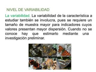 NIVEL DE VARIABILIDAD
La variabilidad. La variabilidad de la característica a
estudiar también se involucra, pues se requiere un
tamaño de muestra mayor para indicadores cuyos
valores presentan mayor dispersión. Cuando no se
conoce hay que estimarlo mediante una
investigación preliminar.
 