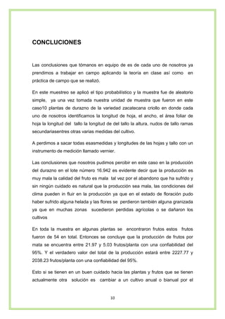 10
CONCLUCIONES
Las conclusiones que tómanos en equipo de es de cada uno de nosotros ya
prendimos a trabajar en campo aplicando la teoría en clase así como en
práctica de campo que se realizó.
En este muestreo se aplicó el tipo probabilístico y la muestra fue de aleatorio
simple, ya una vez tomada nuestra unidad de muestra que fueron en este
caso10 plantas de durazno de la variedad zacatecana criollo en donde cada
uno de nosotros identificamos la longitud de hoja, el ancho, el área foliar de
hoja la longitud del tallo la longitud de del tallo la altura, nudos de tallo ramas
secundariasentres otras varias medidas del cultivo.
A perdimos a sacar todas esasmedidas y longitudes de las hojas y tallo con un
instrumento de medición llamado vernier.
Las conclusiones que nosotros pudimos percibir en este caso en la producción
del durazno en el lote número 16.942 es evidente decir que la producción es
muy mala la calidad del fruto es mala tal vez por el abandono que ha sufrido y
sin ningún cuidado es natural que la producción sea mala, las condiciones del
clima pueden in fluir en la producción ya que en el estado de floración pudo
haber sufrido alguna helada y las flores se perdieron también alguna granizada
ya que en muchas zonas sucedieron perdidas agrícolas o se dañaron los
cultivos
En toda la muestra en algunas plantas se encontraron frutos estos frutos
fueron de 54 en total. Entonces se concluye que la producción de frutos por
mata se encuentra entre 21.97 y 5.03 frutos/planta con una confiabilidad del
95%. Y el verdadero valor del total de la producción estará entre 2227.77 y
2038.23 frutos/planta con una confiabilidad del 95%.
Esto si se tienen en un buen cuidado hacia las plantas y frutos que se tienen
actualmente otra solución es cambiar a un cultivo anual o bianual por el
 