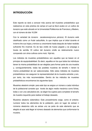 2
INTRODUCCIÓN
Este reporte se dará a conocer más acerca del muestreo probabilístico que
realizamos en esta práctica de campo el cual se llevó acabo en un cultivo de
durazno que está ubicado en la Universidad Politécnica de Francisco y Madero,
con el número de lote 16.294
Con la variedad de durazno zacatecana(prunus pérsica). El durazno está
clasificado como un frutal caducifolio, lo que implica que el árbol durante el
invierno tire sus hojas y reinicie su crecimiento hasta después de haber recibido
suficiente frío invernal. Es de tipo criollo de hueso pegado y se propaga a
través de semilla. El cultivo del durazno criollo es relativamente nuevo
comparado con otros cultivos como maíz frijol etc.
Los métodos de muestreo probabilísticos son aquellos que se basan en el
principio de equiprobabilidad. Es decir, aquellos en los que todos los individuos
tienen la misma probabilidad de ser elegidos para formar parte de una muestra
y, consiguientemente, todas las posibles muestras de tamaño n tienen la
misma probabilidad de ser seleccionadas. Sólo estos métodos de muestreo
probabilísticos nos aseguran la representatividad de la muestra extraída y son,
por tanto, los más recomendables. Dentro de los métodos de muestreo
probabilísticos encontramos los siguientes tipos:
Muestreo aleatorio simple: para este tipo se asigna un número a cada individuo
de la poblacional consiste que través de algún medio mecánico como fichas,
bolas o con una calculadora etc. se eligen los sujetos para completar el tamaño
de muestra requerido para realizar el trabajo deseado.
Muestreo aleatorio sistemático: Este procedimiento exige, como el anterior,
numerar todos los elementos de la población, pero en lugar de extraer n
números aleatorios sólo se extrae uno se parte de este elemento que es
elegido al azar asta llegar al número deseado de elementos que conformaran la
muestra.
 
