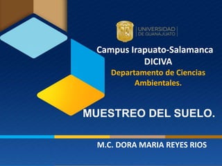 Campus Irapuato-Salamanca
DICIVA
Departamento de Ciencias
Ambientales.
M.C. DORA MARIA REYES RIOS
MUESTREO DEL SUELO.
 