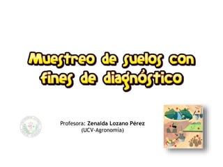 Profesora: Zenaida Lozano Pérez
(UCV-Agronomía)
 