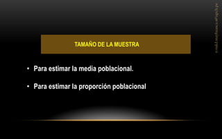 TAMAÑO DE LA MUESTRA 
•Para estimar la media poblacional. 
•Para estimar la proporción poblacional  