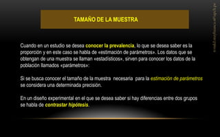 TAMAÑO DE LA MUESTRA 
Cuando en un estudio se desea conocer la prevalencia, lo que se desea saber es la proporción y en este caso se habla de «estimación de parámetros». Los datos que se obtengan de una muestra se llaman «estadísticos», sirven para conocer los datos de la población llamados «parámetros»: Si se busca conocer el tamaño de la muestra necesaria para la estimación de parámetros se considera una determinada precisión. En un diseño experimental en el que se desea saber si hay diferencias entre dos grupos se habla de contrastar hipótesis.  