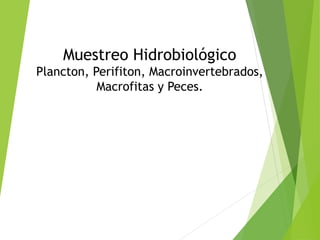 Muestreo Hidrobiológico
Plancton, Perifiton, Macroinvertebrados,
Macrofitas y Peces.
 