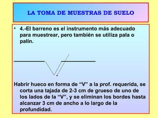 LA TOMA DE MUESTRAS DE SUELO 4.-El barreno es el instrumento más adecuado para muestrear, pero también se utiliza pala o palín. _________ __________ Habrir hueco en forma de “V” a la prof. requerida, se corta una tajada de 2-3 cm de grueso de uno de los lados de la “V”, y se eliminan los bordes hasta alcanzar 3 cm de ancho a lo largo de la profundidad. 