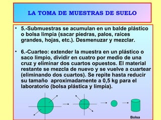 LA TOMA DE MUESTRAS DE SUELO 5.-Submuestras se acumulan en un balde plástico o bolsa limpia (sacar piedras, palos, raíces grandes, hojas, etc.). Desmenuzar y mezclar. 6.-Cuarteo: extender la muestra en un plástico o saco limpio, dividir en cuatro por medio de una cruz y eliminar dos cuartos opuestos. El material restante se mezcla de nuevo y se vuelve a cuartear (eliminando dos cuartos). Se repite hasta reducir su tamaño  aproximadamente a 0,5 kg para el laboratorio (bolsa plástica y limpia). Bolsa 