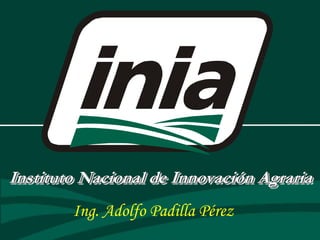 Instituto Nacional de Innovación Agraria
Ing. Adolfo Padilla Pérez
 