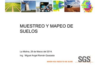 MUESTREO Y MAPEO DE
SUELOS
La Molina, 29 de Marzo del 2014.
Ing. Miguel Angel Román Quezada
 