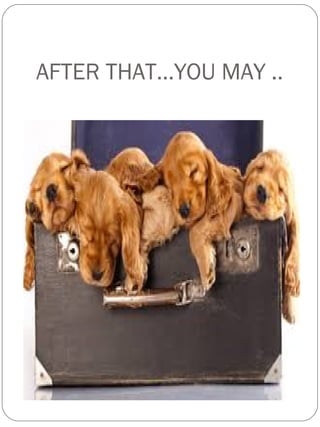 AFTER THAT…YOU MAY ..
 