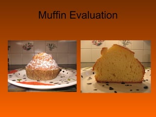 Muffin Evaluation