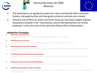 Community Vision for 2020
Morocco
1.
2.

The landscape as an agroforest system has been maintained while numerous
forestry job opportunities and new green economic activities are created.
Pressure and conflicts on water and forest resources have been largely reduced.
Ecosystems situated in the mountainous area of Jbel Bouhachem are strictly
protected in the core zone of the attractive Natural Park of Bouhachem

Adaptation Strategies
1.

Improving road infrastructure
avoiding negative impacts on the forest and integrating road development - water management

2.

Diversifying sources of income
along with regulatory measures, capacity building and awareness on the protection of natural resources

3.

Implementing soil conservation structures
using useful plants (aromatic and medicinal plants, forage), expanding the network of windbreaks and capacity building of local
institutions

4.

Promoting drying and storage of agricultural products
extending to fodder and forestry products to contribute to the diversification of local products while reducing the pressure on the
forest

5.

Harvesting rainwater for homes and public buildings
to be amplified by the establishment of collective systems of rainwater harvesting and setting up distribution network

6.

Establishing an appropriate roof of rural housing
adapted to climate risks and to architectural heritage through adequate regulation taking into account the benefits to gain energy and
rainwater harvesting

 