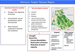 Morocco- Tangier-Tetouan Region
•

Severity of extreme weather
events
 Change in the regularity
of seasons


Concentrated annual
precipitations within
short periods



More frequent
outbreaks of extreme
hot conditions

•

Very low adaptive capacity

 isolation
 poverty
 illiteracy
 lack of access to basic
services and information
 weak relationships with
public institutions
 traditional adaptive
techniques rudimentary or
already lost

Impacts

- drought
- forest fire
- Erosion &landslides
- Destruction of houses
- Reduction of dams’
capacity

- Diminution of
production
- Reduction of
cultivated lands

- Destruction of
houses
- Reduction of Dam’s
capacities

Other causes
of impacts
- Techniques not
adapted
Low
afforestation
Reduced
natural cover
- Clay Soil

 