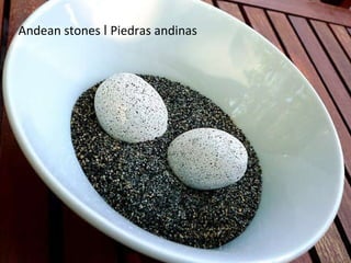 Andean stones ǀ Piedras andinas 