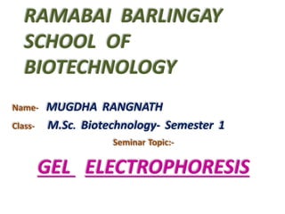 RAMABAI BARLINGAY
SCHOOL OF
BIOTECHNOLOGY
Name- MUGDHA RANGNATH
Class- M.Sc. Biotechnology- Semester 1
Seminar Topic:-
GEL ELECTROPHORESIS
 