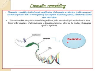  Chromatin remodeling is the dynamic modification of chromatin architecture to allow access of
condensed genomic DNA to the regulatory transcription machinery proteins, and thereby control
gene expression.
 To overcome DNA sequence accessibility problems, cells have developed mechanisms to open
higher order structures of chromatin and to disrupt nucleosomes allowing the binding of sequence
specific regulators.
Cromatin remodeling
dna+histon
e
 