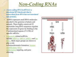 Non-Coding RNAs
 A non-coding RNA (ncRNA) is a
functional RNAmolecule that is
transcribed from DNA but not translated
into proteins.
 ncRNA represent small RNA molecules
encoded in the genomes of plants and
animals. These highly conserved 22
nucleotides long RNA sequences regulate
the expression of genes by binding to the
3'-untranslated regions (3'-UTR) of
specific mRNAs.
 Epigenetic related ncRNAs
include miRNA, siRNA, piRNA and lnc
RNA. Both major groups are shown to
play a role
in heterochromatin formation, histone
modification, DNA
methylation targeting, and gene
silencing.
 