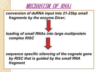 MECHANISM OF RNAi
conversion of dsRNA input into 21-23bp small
fragments by the enzyme Dicer;
loading of small RNAs into large multiprotein
complex RISC
sequence specific silencing of the cognate gene
by RISC that is guided by the small RNA
fragment
 