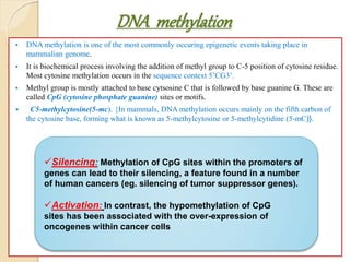 DNA methylation
 DNA methylation is one of the most commonly occuring epigenetic events taking place in
mammalian genome.
 It is biochemical process involving the addition of methyl group to C-5 position of cytosine residue.
Most cytosine methylation occurs in the sequence context 5’CG3’.
 Methyl group is mostly attached to base cytsosine C that is followed by base guanine G. These are
called CpG (cytosine phosphate guanine) sites or motifs.
 C5-methylcytosine(5-mc). {In mammals, DNA methylation occurs mainly on the fifth carbon of
the cytosine base, forming what is known as 5-methylcytosine or 5-methylcytidine (5-mC)}.
Silencing: Methylation of CpG sites within the promoters of
genes can lead to their silencing, a feature found in a number
of human cancers (eg. silencing of tumor suppressor genes).
Activation: In contrast, the hypomethylation of CpG
sites has been associated with the over-expression of
oncogenes within cancer cells
 